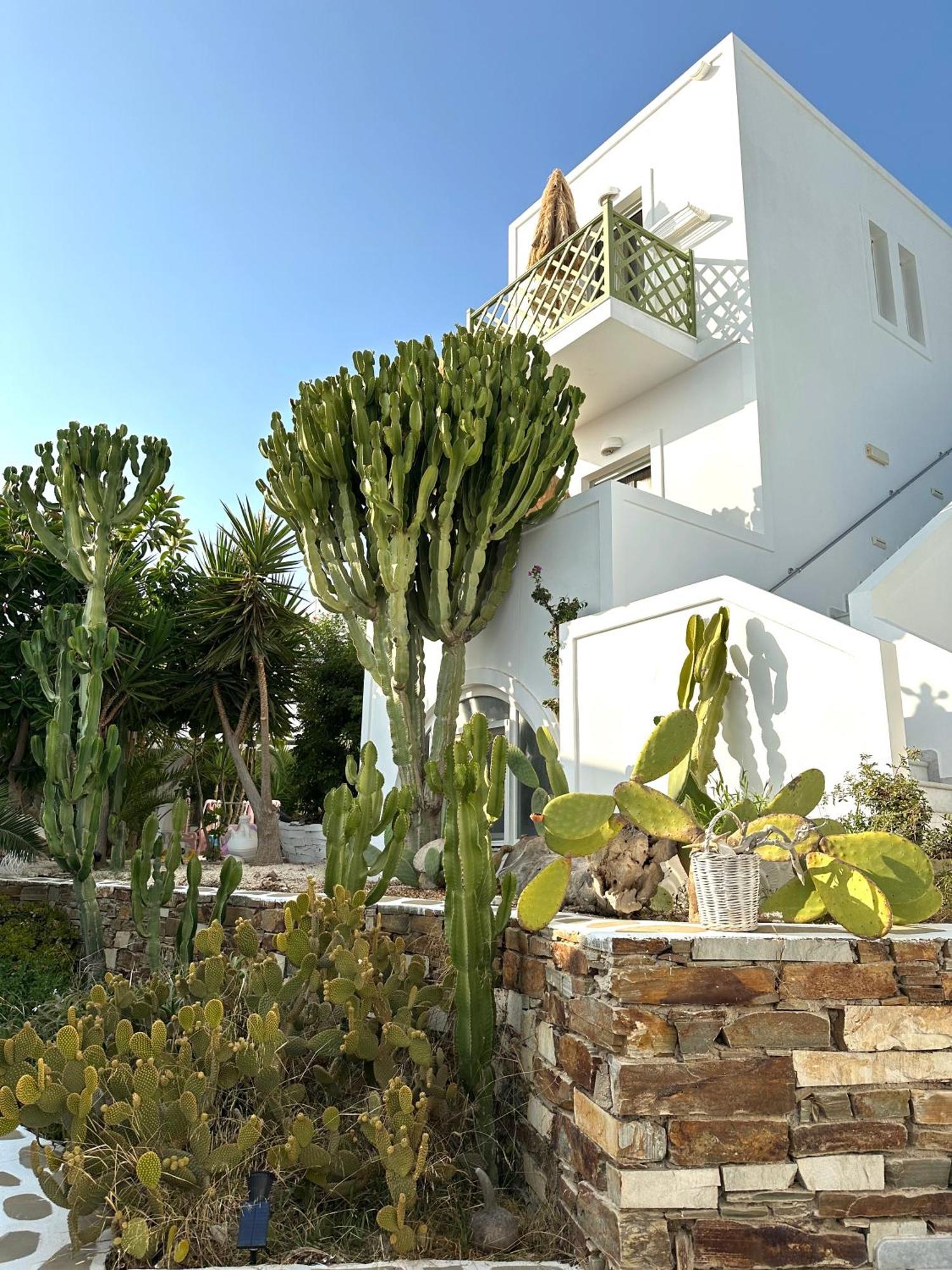 Artemis Hotel Antiparos ภายนอก รูปภาพ