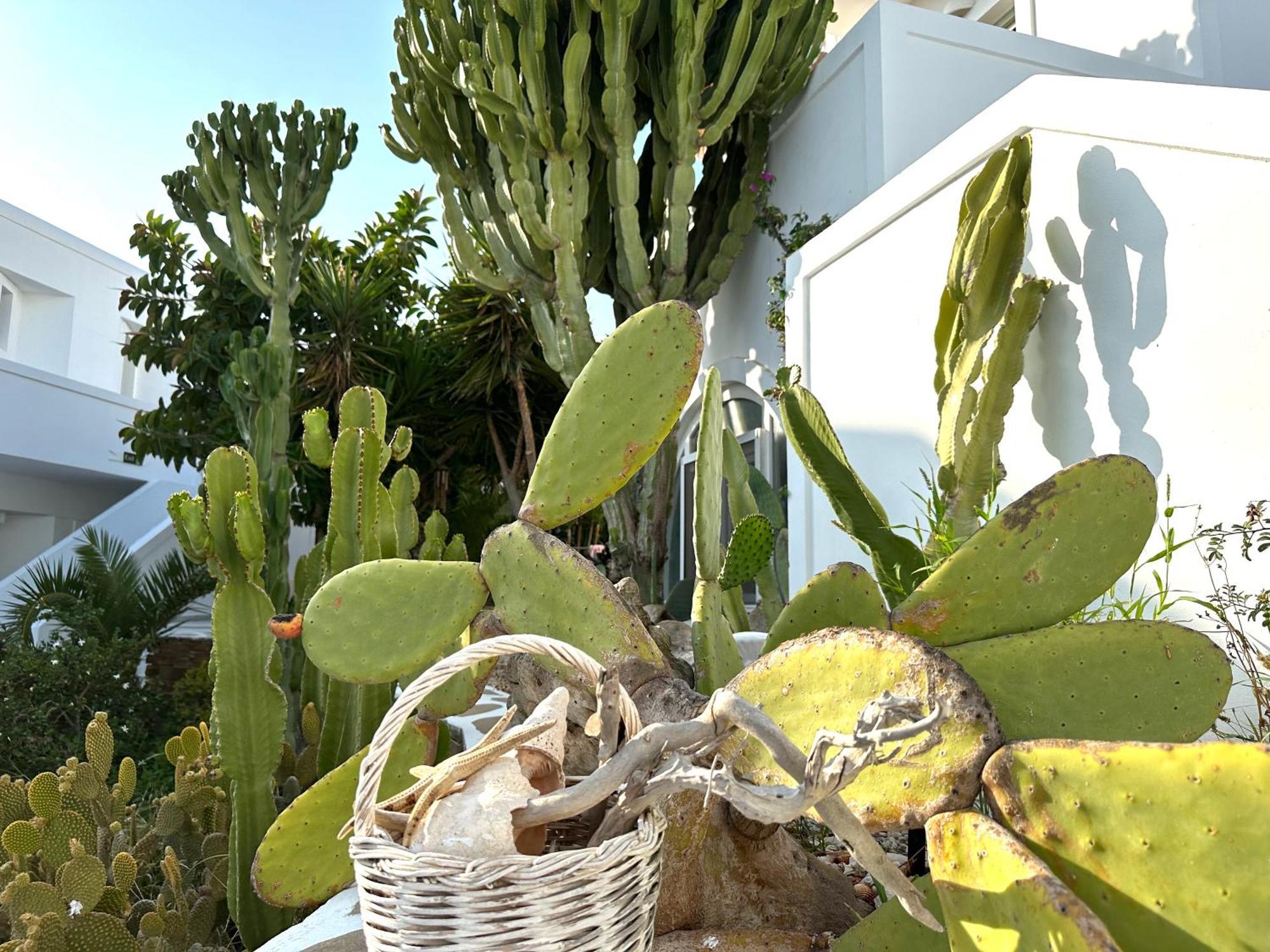 Artemis Hotel Antiparos ภายนอก รูปภาพ