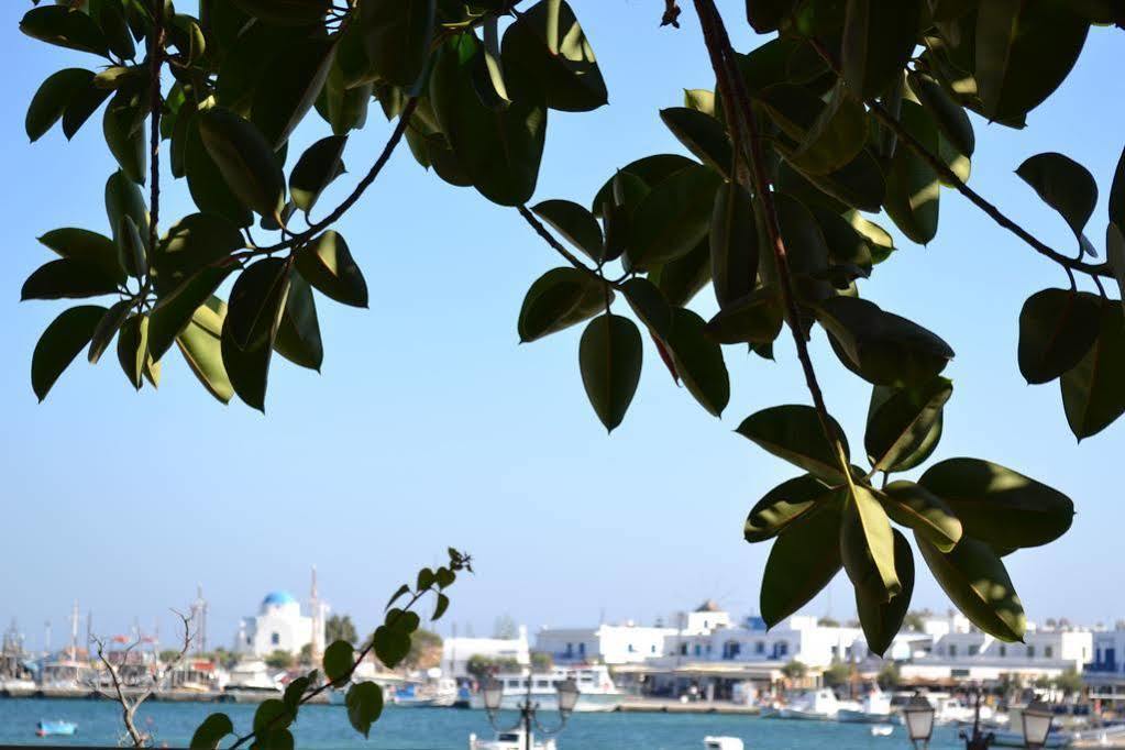 Artemis Hotel Antiparos ภายนอก รูปภาพ