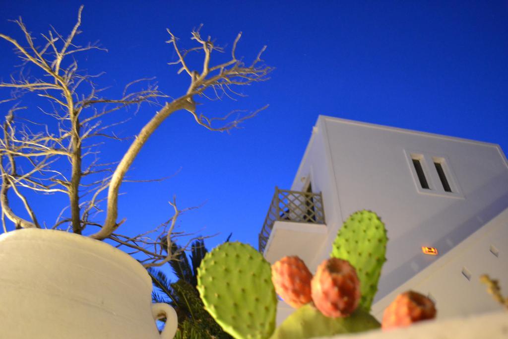 Artemis Hotel Antiparos ภายนอก รูปภาพ
